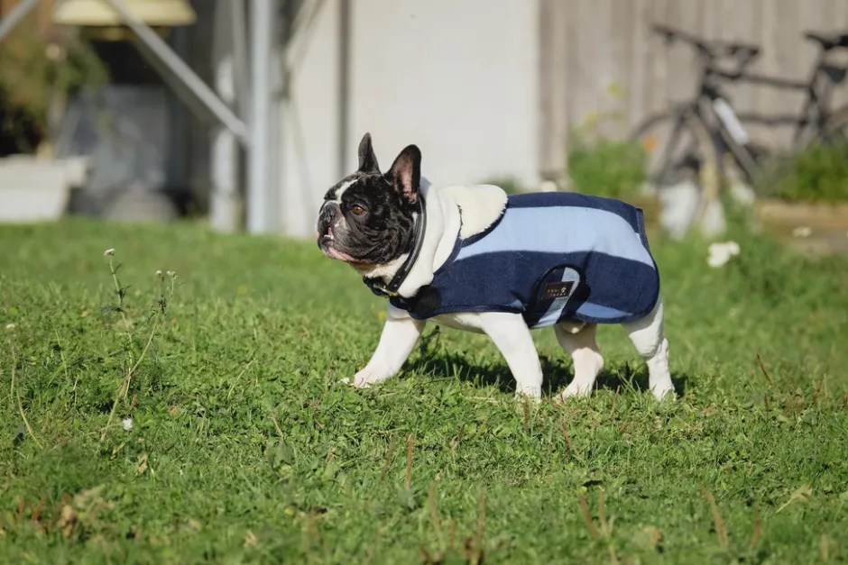 EQUITHÈME - New Market - Hundedecke