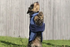 EQUITHÈME - New Market - Hundedecke