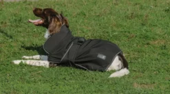 EQUITHÈME - Softshell - Hundedecke