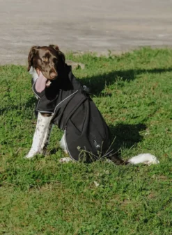 EQUITHÈME - Softshell - Hundedecke