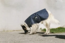 EQUITHÈME - TYREX 600D - Hundedecke