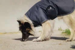 EQUITHÈME - TYREX 600D - Hundedecke