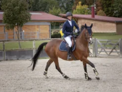 EQUITHÈME Bordo Turnierjacke