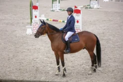 EQUITHÈME Bordo Turnierjacke