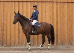 EQUITHÈME Bordo Turnierjacke
