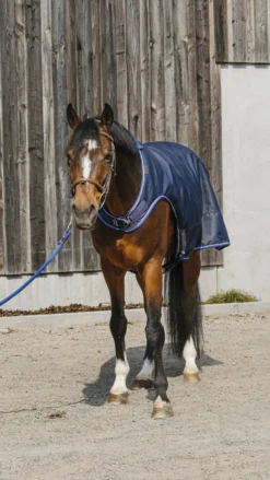 EQUITHÈME Classic 1200D Führmaschinendecke