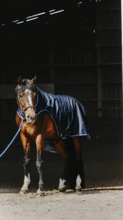 EQUITHÈME Classic 1200D Führmaschinendecke