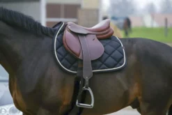 EQUITHÈME Classic Schabracke