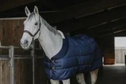 EQUITHÈME - Confortech - Stalldecke