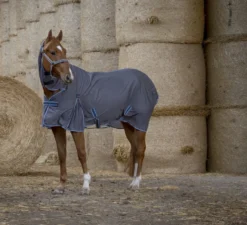 EQUITHÈME „Cool Dry“ Combo Sommerdecke