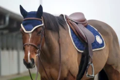 EQUITHÈME Denim Schabrake