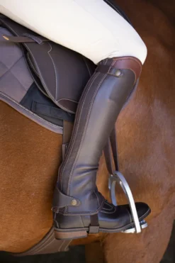 EQUITHÈME Elite Mini-Chaps