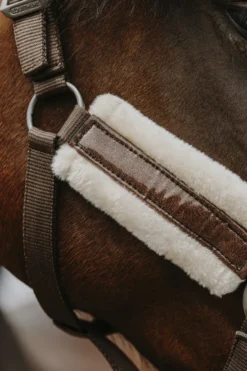 EQUITHÈME - Fashion - Nylonhalfter