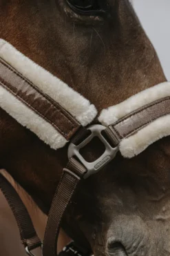 EQUITHÈME - Fashion - Nylonhalfter