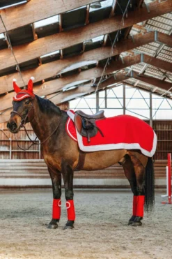 EQUITHÈME Fleece Nierendecke - XMas