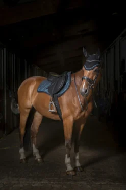 EQUITHÈME „Glitter“ Schabracke