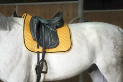 EQUITHÈME Glossy Schabracke