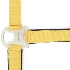 EQUITHÈME Halfter Air