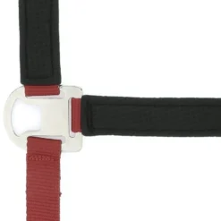 EQUITHÈME Halfter Air