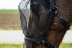 EQUITHÈME Halfter + Antifliegenmaske schutz vor UV-Strahlen