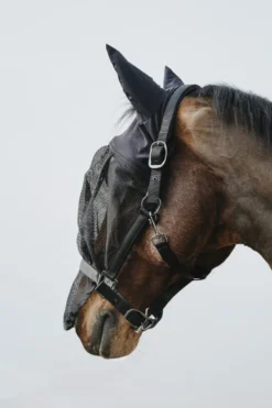 EQUITHÈME Halfter + Antifliegenmaske