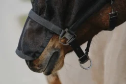 EQUITHÈME Halfter + Antifliegenmaske
