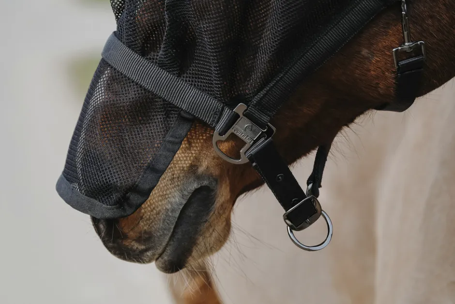 EQUITHÈME Halfter + Antifliegenmaske
