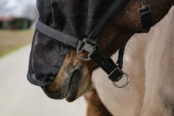 EQUITHÈME Halfter + Antifliegenmaske