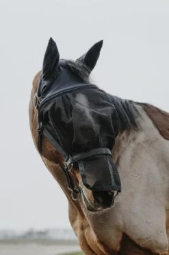 EQUITHÈME Halfter + Antifliegenmaske