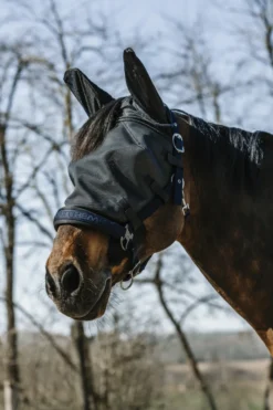 EQUITHÈME - Halfter - Fliegen-/UV-Maske