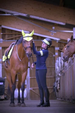 EQUITHÈME Helmband High Visibility
