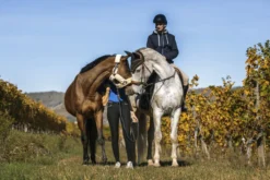 EQUITHÈME Hervé Sweatshirt