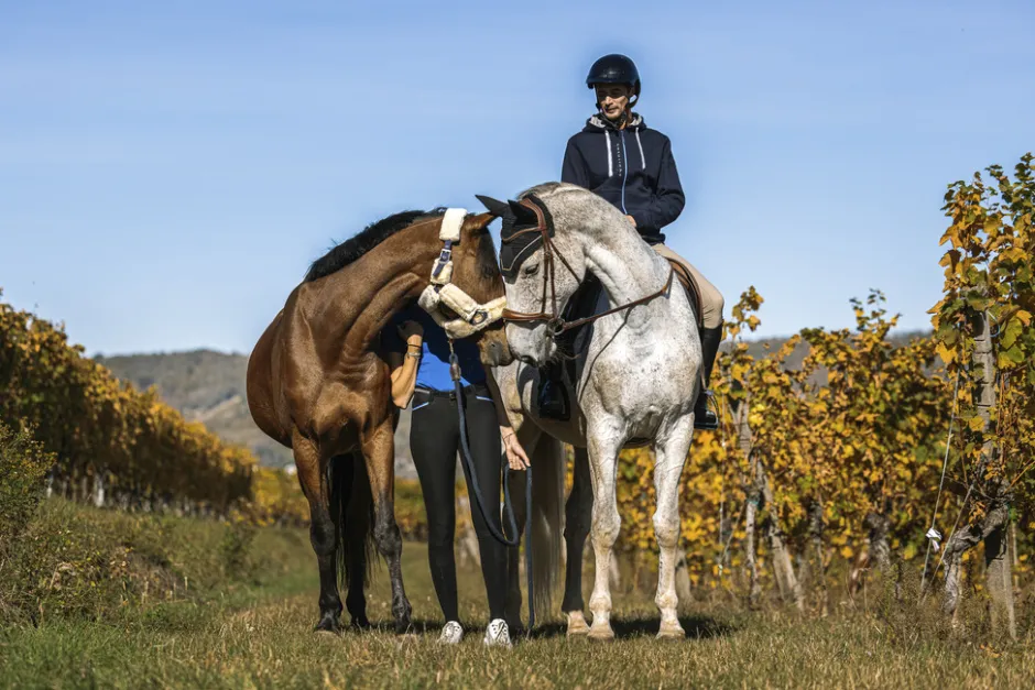 EQUITHÈME Hervé Sweatshirt