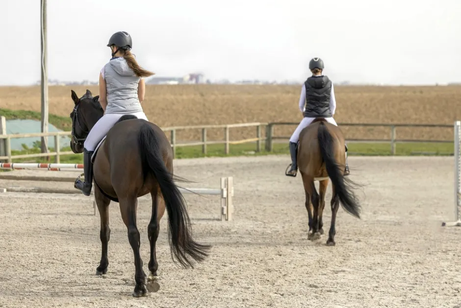 EQUITHÈME Léa Weste