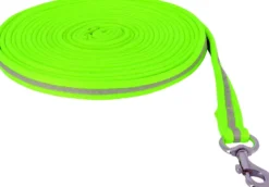 EQUITHÈME Longe High Visibility