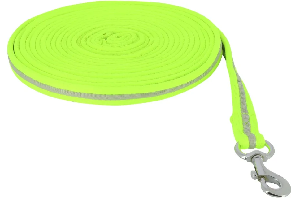 EQUITHÈME Longe High Visibility