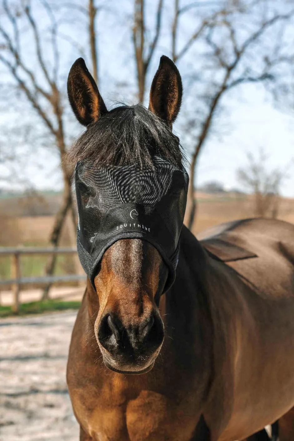 EQUITHÈME - Mesh - Fliegen-/UV-Maske - Ohne Ohren
