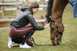 EQUITHÈME Mona Hybridjacke