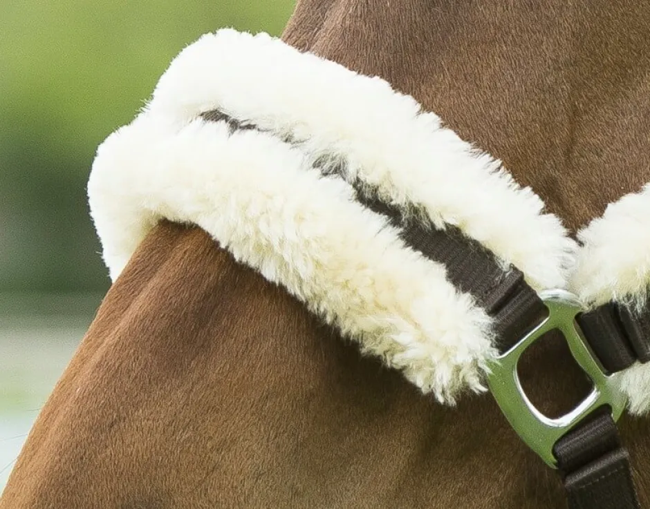 EQUITHÈME „Mouton synthétique“ Halfter mit synthetischem Lammfell
