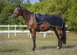 EQUITHÈME Nierendecke „Polyfun“