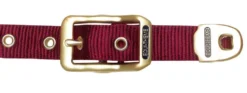 EQUITHÈME Nylonhalfter