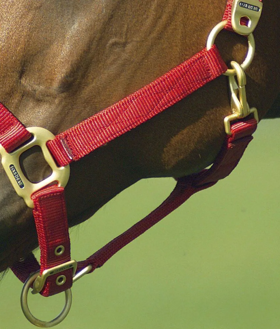 EQUITHÈME Nylonhalfter