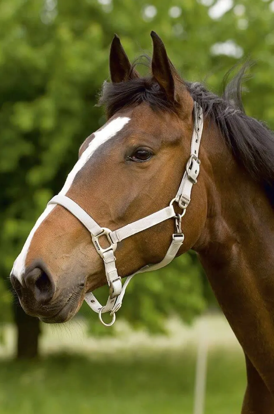 EQUITHÈME Nylonhalfter