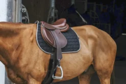 EQUITHÈME Orion Schabracken