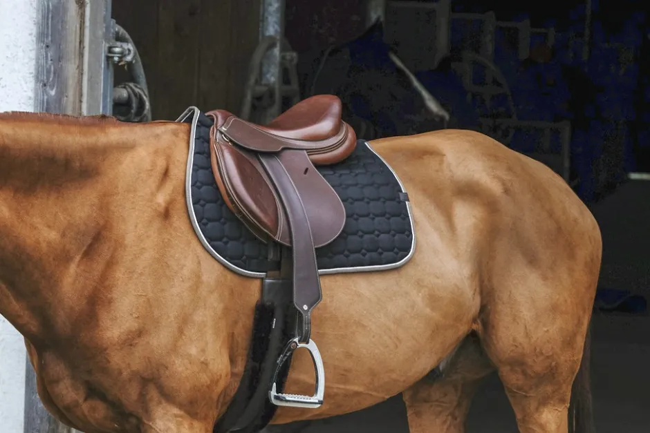EQUITHÈME Orion Schabracken