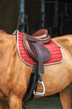 EQUITHÈME Orion Schabracken