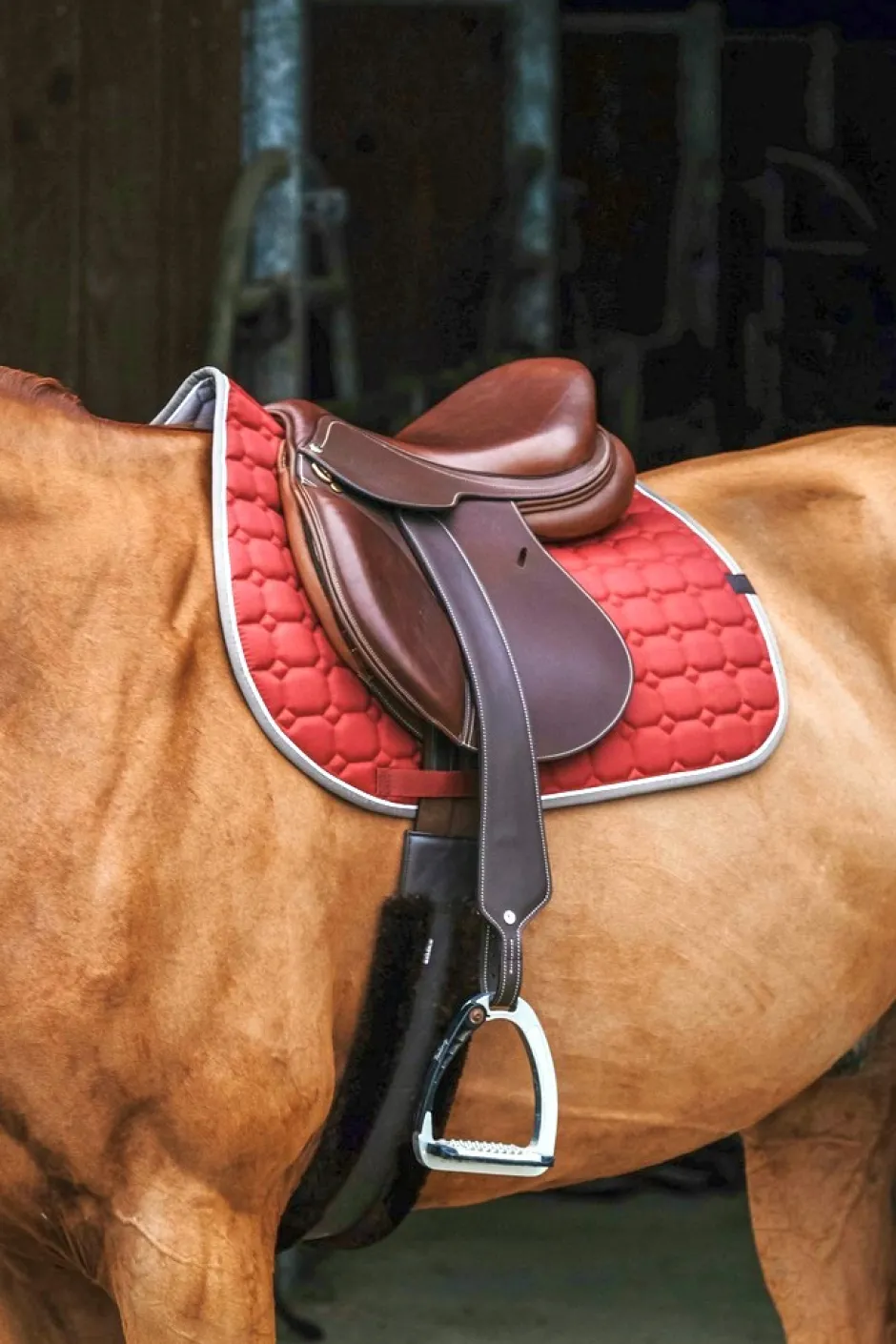 EQUITHÈME Orion Schabracken