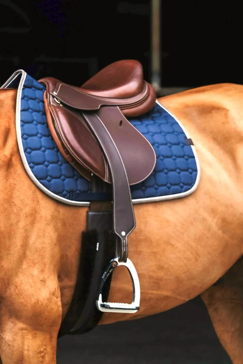 EQUITHÈME Orion Schabracken