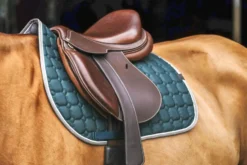 EQUITHÈME Orion Schabracken