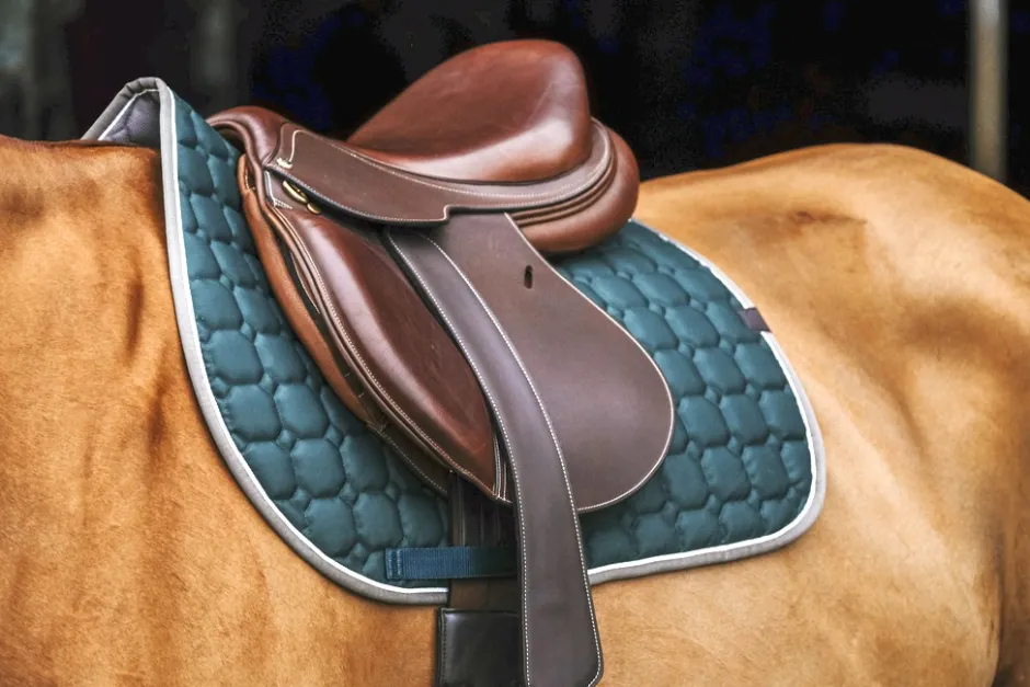 EQUITHÈME Orion Schabracken